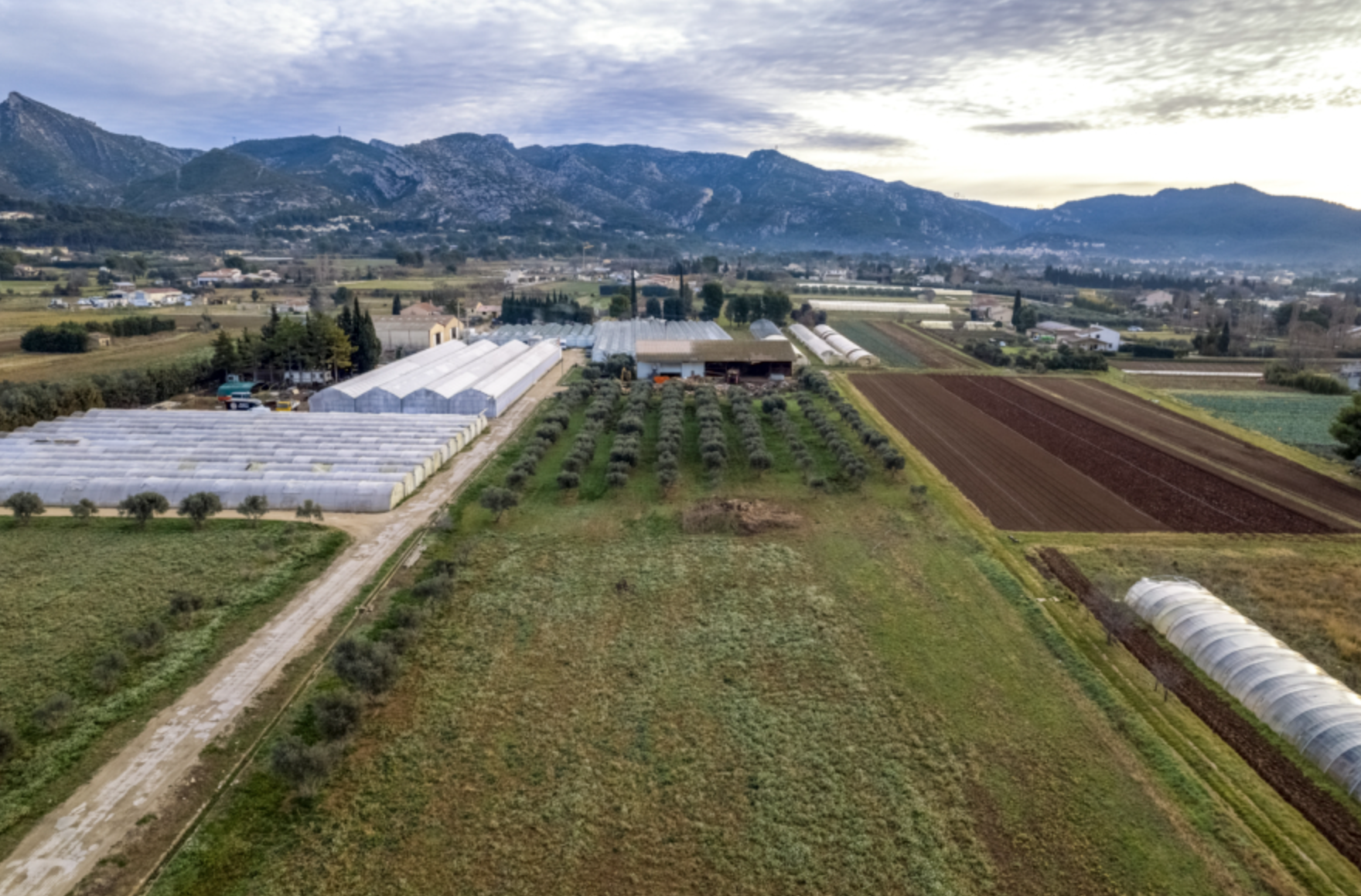 Vue panoramique de la propriété